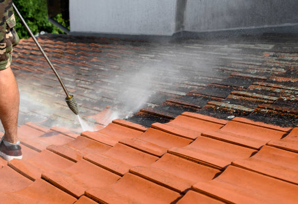 Best Roof Pressure Washing  in Eagan, MN