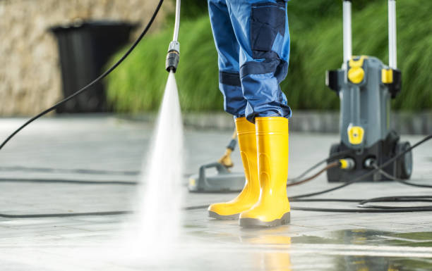Best Roof Pressure Washing  in Eagan, MN